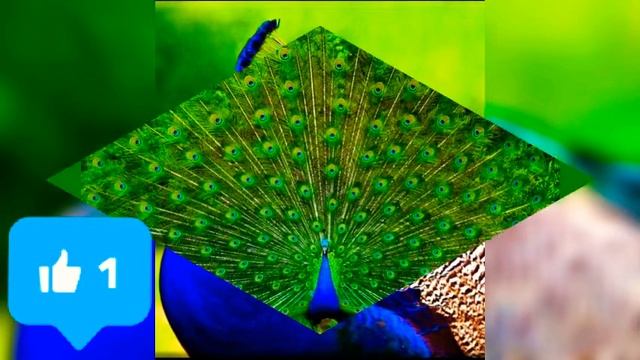 18 февраля 2022 г. смотреть онлайн