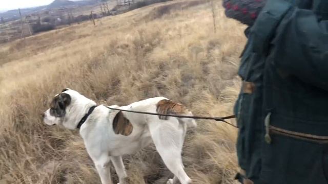 Плохой мальчик,непослушный смотреть онлайн