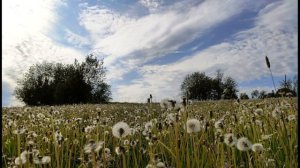 П  Вязьмский  Молитва Ангелу-Хранителю  #духовнаялирика #поэты19века