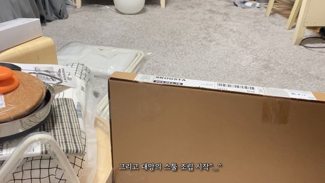 진짜로 똥싼 강아지 🤦🏻♀️| 이케아를 털어보았습니다 💸| 이케아 추천템 | 이케아 하울 | 쇼핑하울 | 자취 꿀템 추천 | 스툴 조립🔨 смотреть онлайн