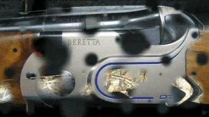 Beretta SV10 Perennia I (X-tra Grain)  12-gauge Shotgun  Best Guns