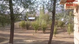 фароб нав 26 07 2021