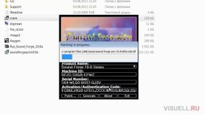 Установка Sound Forge Pro 10.0 с патчем.download Test.