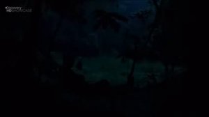 Выжить любой ценой с bear grylls [Jungle]