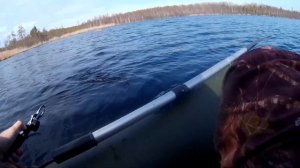 Ловля щуки и окуня весной на спиннинг . Твичинг воблеров из Китая