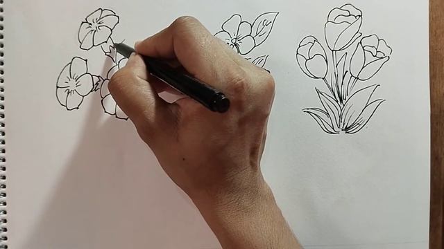 How to draw Different types flowers l tulip periwinkle hibiscus moon flower Lotus flower Drawing