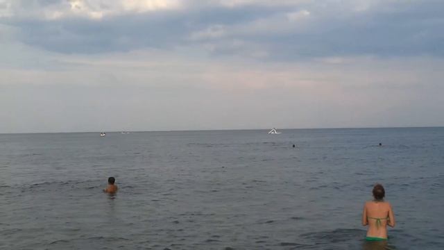 Дельфины на пляже среди людей смотреть онлайн