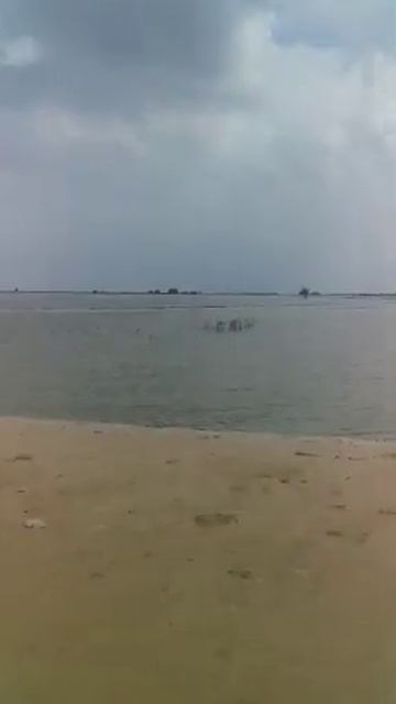 Су тасқыны 01.05.2020.  Зардабы смотреть онлайн