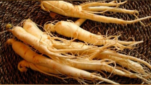 Birgina Tomir Ming Dardga Davo ...