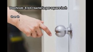 How Dirty Is your Smartphone?