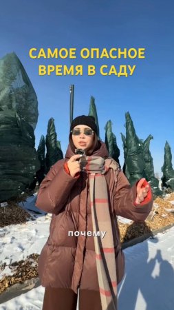 Сделайте это ПРЯМО СЕЙЧАС!