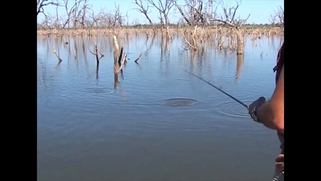 Everything you need to know. How to catch monster catfish in Africa. смотреть онлайн