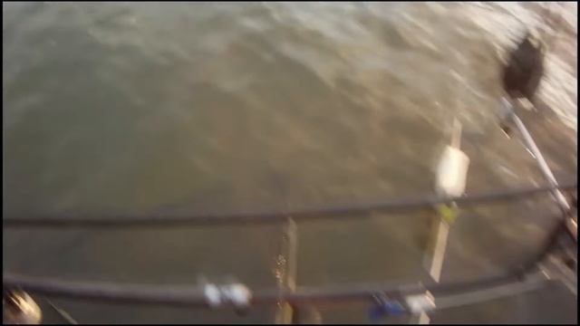 JET FISH Pod Pálavou I смотреть онлайн