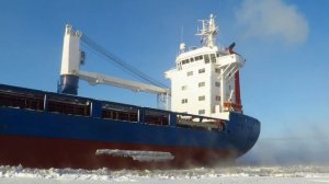 Терский берег (Тип Spliethoff, проект E-type, порт приписки Архангельск) Снят на переправе Кегостро