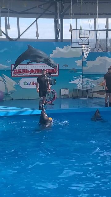 6 сентября 2022 г. смотреть онлайн