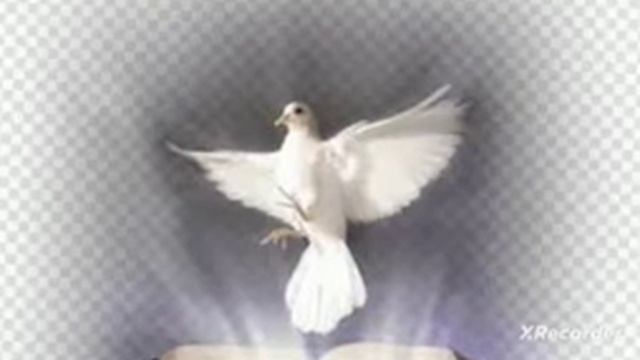 872) Слово от Господа. ,,Любовь привела Меня на Крест." смотреть онлайн