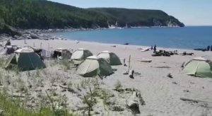 бухта Врангеля