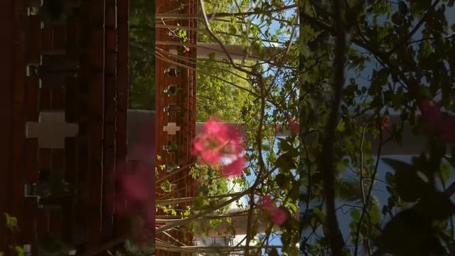 Confucius Temple taipei shorts travel