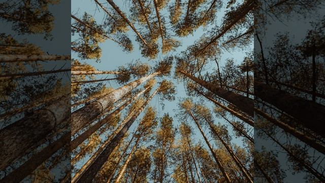 Прекрасный шум, чтобы хорошо спать смотреть онлайн