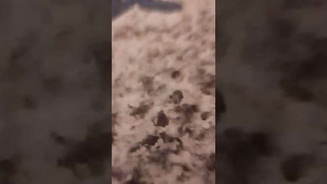 🆘💥🆘 SOS | 💥ОПАСНОСТЬ | 💥Северное Тушино | 💥Жилищник_СТОП ! смотреть онлайн