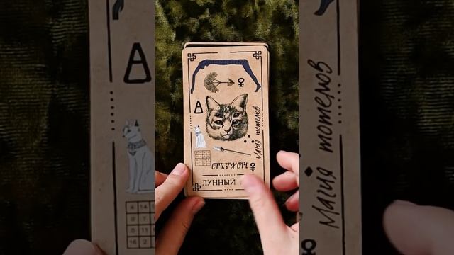 Викканский оракул теней Арабо Саргсяна. Галерея колоды смотреть онлайн