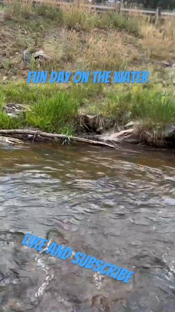 Fun day on the river#flyfishinglife #flyfishing #flyfisherman #outdoors #troutbum#trout #fishinglif смотреть онлайн