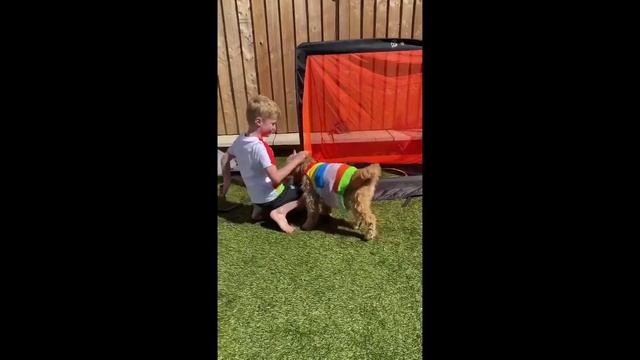 Bydd Wych - Ysgol Gyfun Cwm Rhymni смотреть онлайн