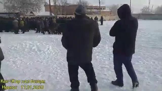 Ноокат. Көк-Жар мал базары смотреть онлайн