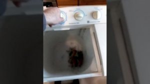 Daewoo DW 501 mp тест для Авито