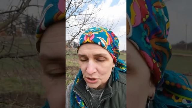 Поместье Бабичей. Грядки Розума