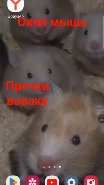 мой новый фон на телефонн