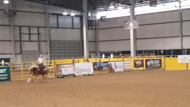 Low Roller NW Affiliate Championship Green Reiner