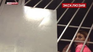 Света Яковлева попала за решётку