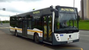 Пригородный автобус НеФАЗ-5299-31-52 с маршрутом №1064 "МЦД Реутов - Красная Горка" (г. Люберцы)