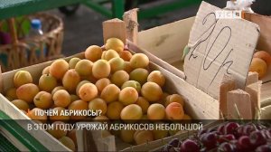 Почем абрикосы