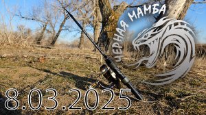 Premium TeleMormoSpin " Черная Мамба "