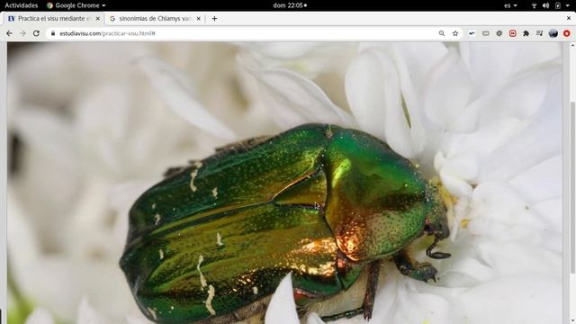 Área de práctica: Información panel de imágenes смотреть онлайн