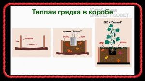 Урожайные грядки. Часть 2. В чём суть тёплой грядки. (Грядки Хольцера. Пермакультура)