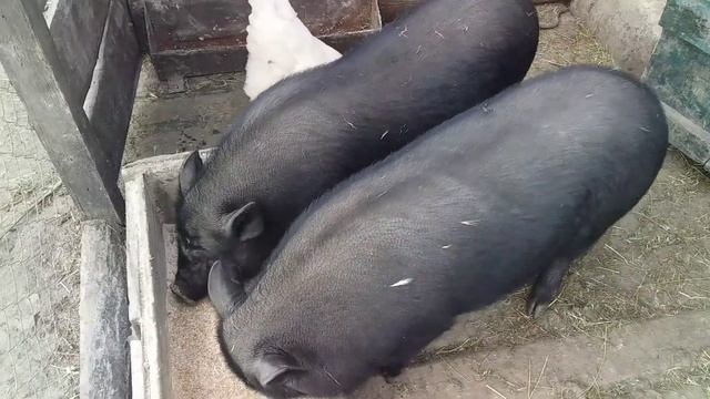 Відпочили ,тепер можна і попрацювати .Життя простих людей смотреть онлайн