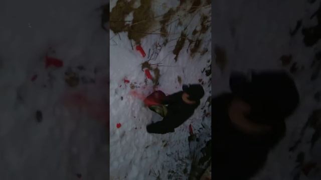 13 января 2019 г.