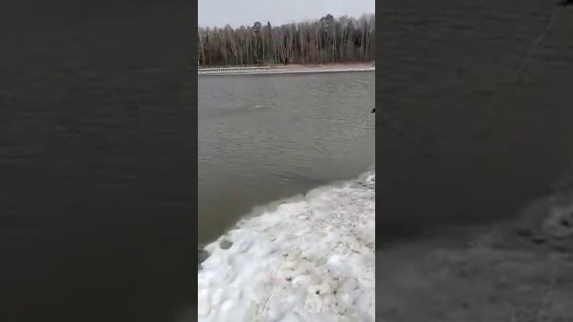 Поисковый магнит Росмагнит 400