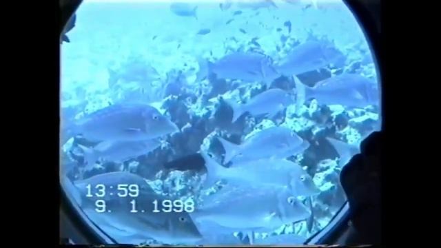 Египет Хургада Калипсо смотреть онлайн