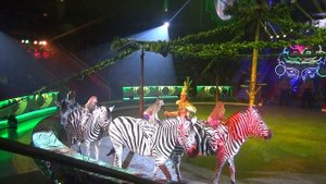 Аттракцион «Африка» - Александр и Дмитрий Дудкины