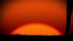 Супергерои Выпуск 5