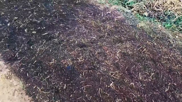 Бир йилда 100 млн сум даромад килиш Биогумис ишлаб чикариш! смотреть онлайн