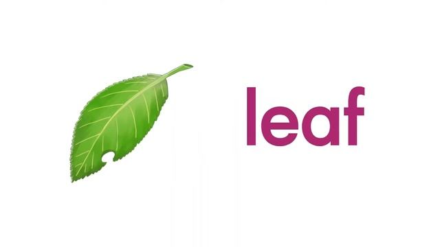 ea, ee l Double-Letter Vowels l Word Chant l Best Phonics смотреть онлайн