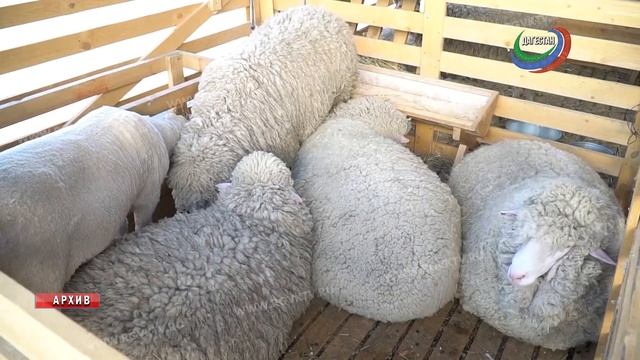 В России стартовала «Сельскохозяйственная микроперепись – 2021» смотреть онлайн