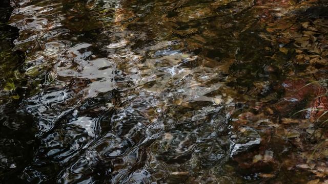 Marais : Le Tourbillon 회오리 바람