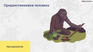 33. Гипотезы происхождения человека. Расы человека