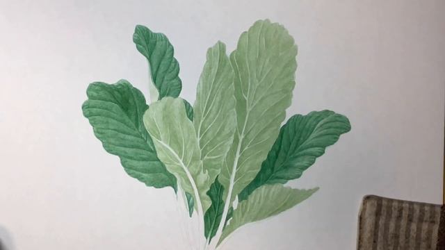 【赤カブを描く】Paint red turnip / Time lapse 36 смотреть онлайн